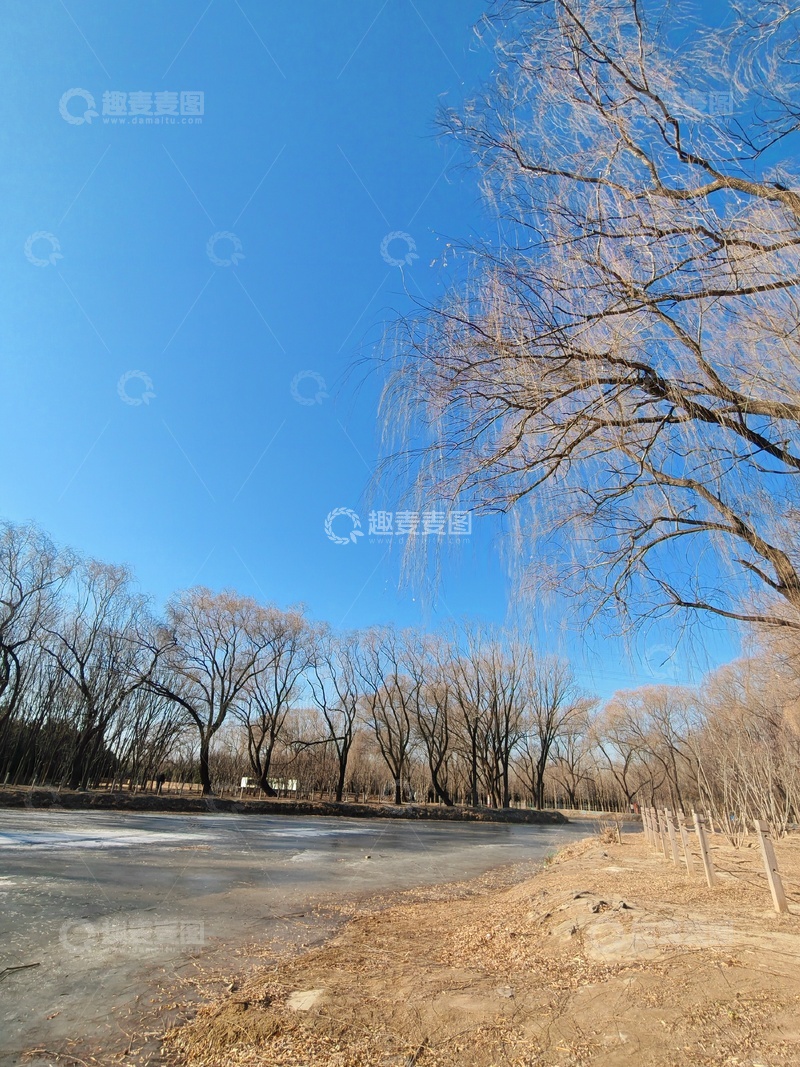 高清大图下载【趣麦麦图】冬日冰湖枯树林风景照