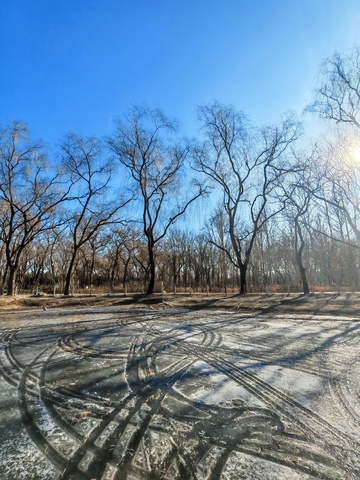 冬日冰面树林风光