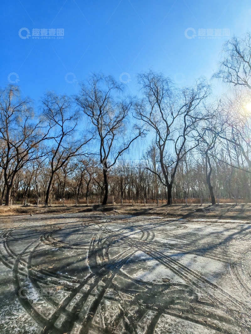 高清大图下载【趣麦麦图】冬日冰面树林风光