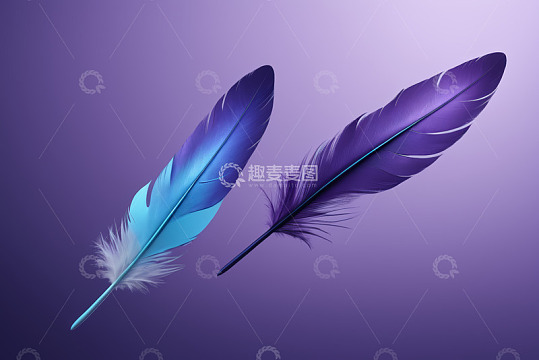 紫色背景上的两根彩色羽毛