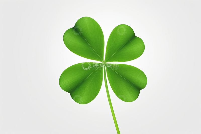 高清大图下载【趣麦麦图】绿色四叶草特写素材