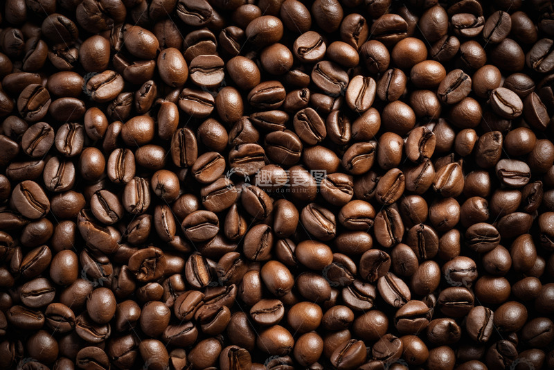 高清大图下载【趣麦麦图】咖啡豆特写素材