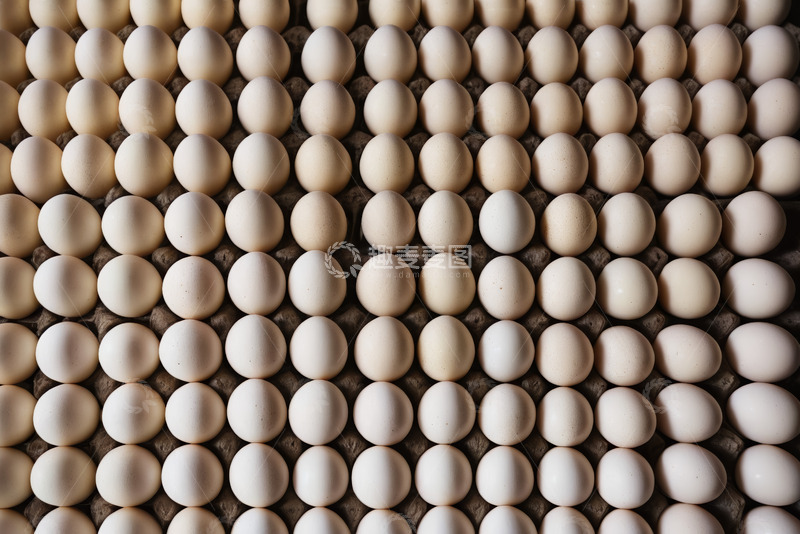 高清大图下载【趣麦麦图】排列整齐的白色鸡蛋