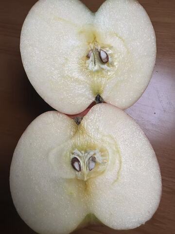 新鲜梨子切开特写