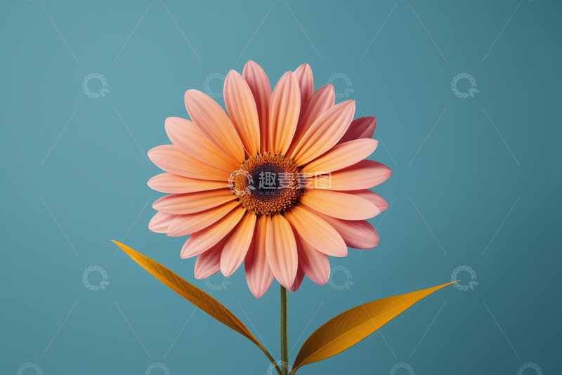 高清大图下载【趣麦麦图】蓝色背景下的粉色花朵