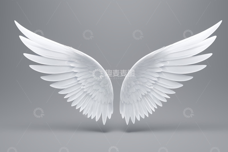 高清大图下载【趣麦麦图】白色天使翅膀设计素材