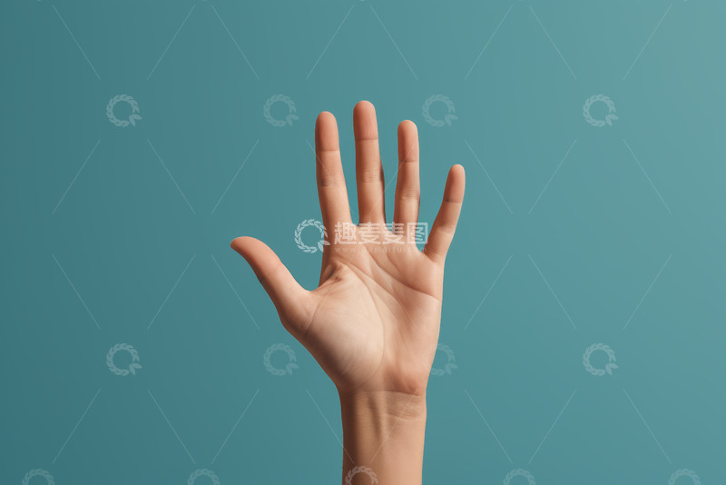 高清大图下载【趣麦麦图】手掌特写展示手势