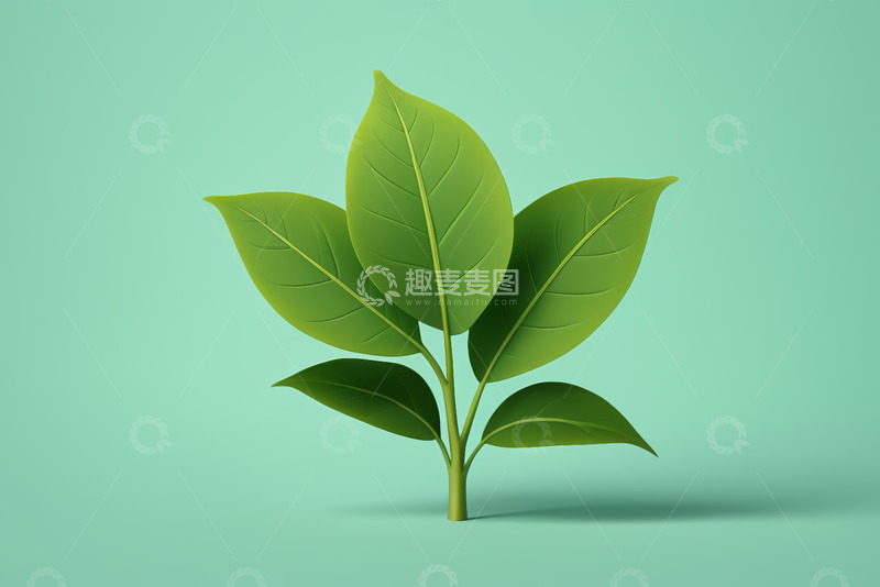 高清大图下载【趣麦麦图】绿色植物叶片特写素材