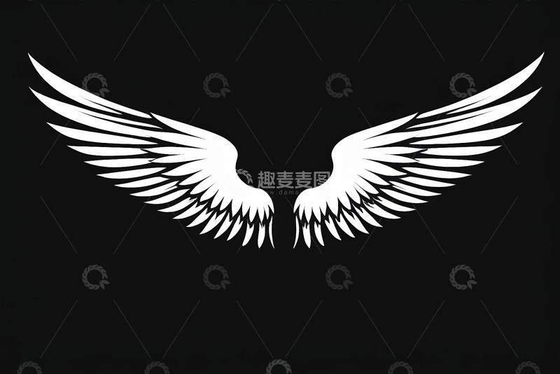 高清大图下载【趣麦麦图】黑色背景上的白色翅膀图案