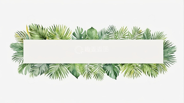 热带植物边框设计素材