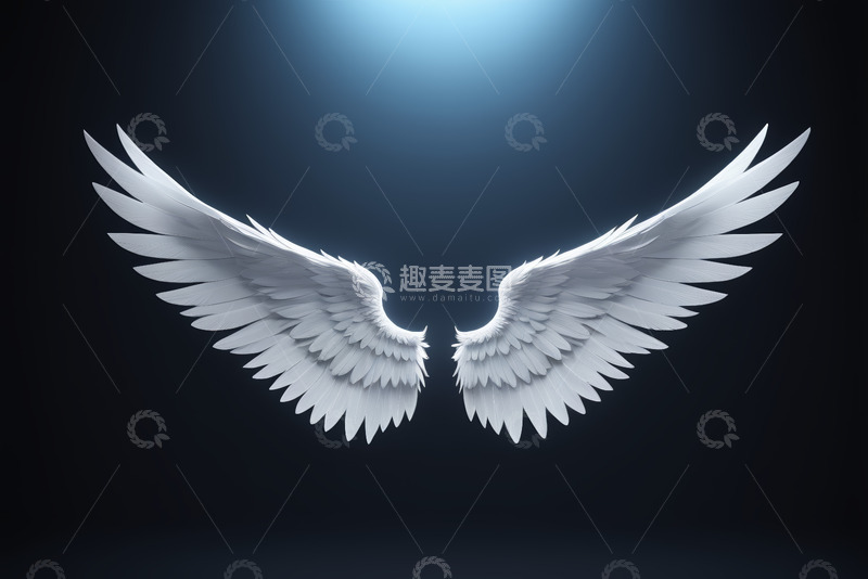 高清大图下载【趣麦麦图】白色天使翅膀光影背景