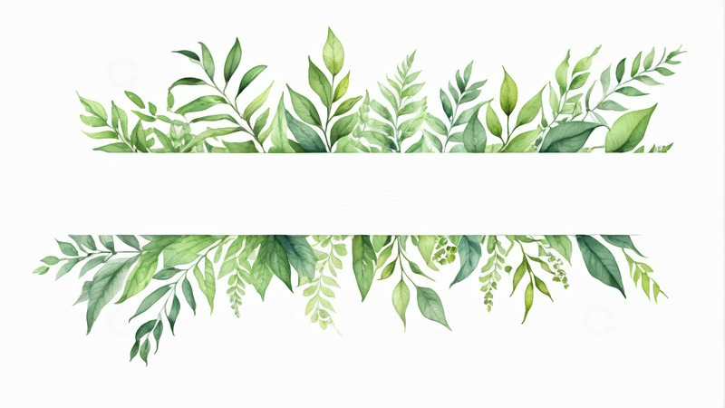 高清大图下载【趣麦麦图】绿色植物水彩边框素材