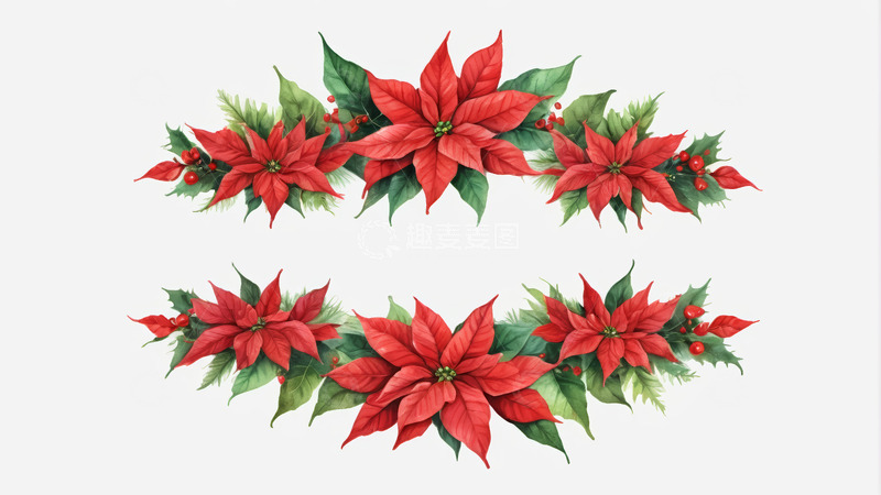 高清大图下载【趣麦麦图】圣诞一品红装饰图案