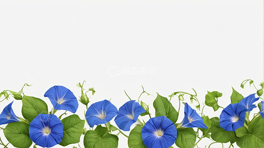 蓝色牵牛花绿植背景图
