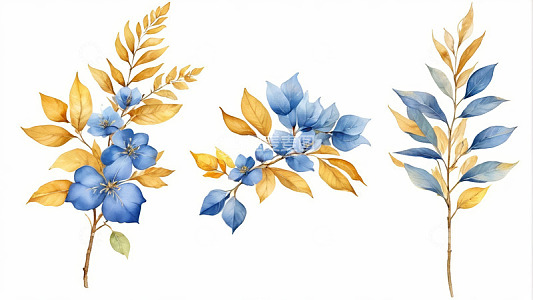 蓝黄相间花卉植物插画
