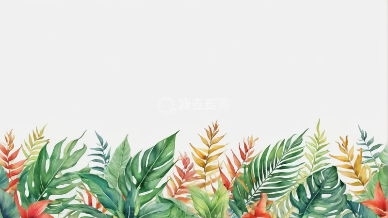 高清大图下载【趣麦麦图】水彩风格热带植物边框背景