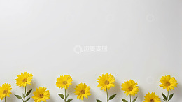 白色背景黄色花朵排列画面