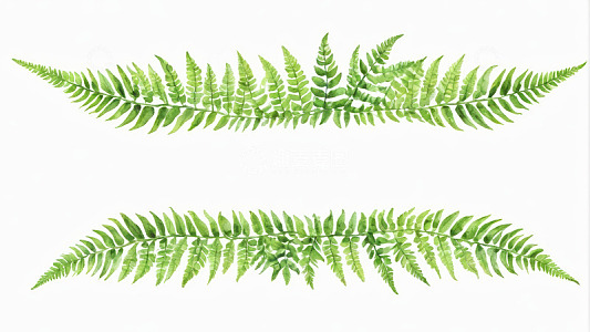 水彩风格绿色蕨类植物素材