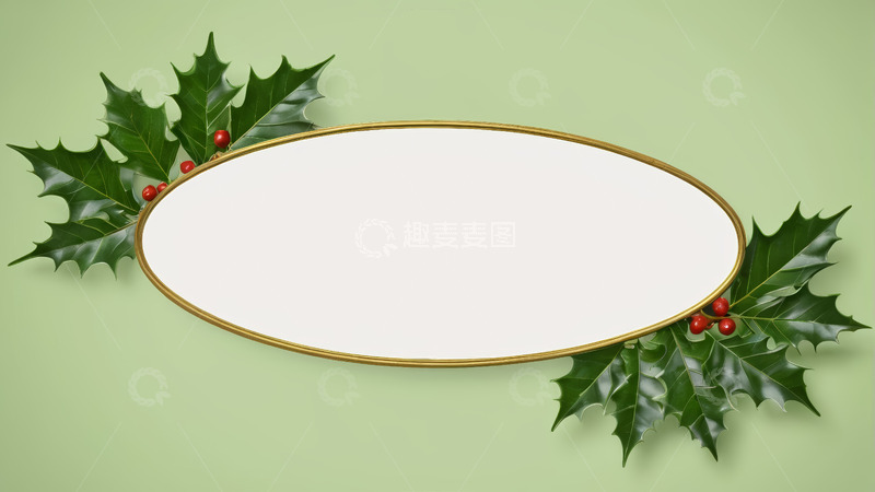 高清大图下载【趣麦麦图】冬青装饰椭圆形空白背景图