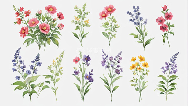 水彩风格花卉植物素材