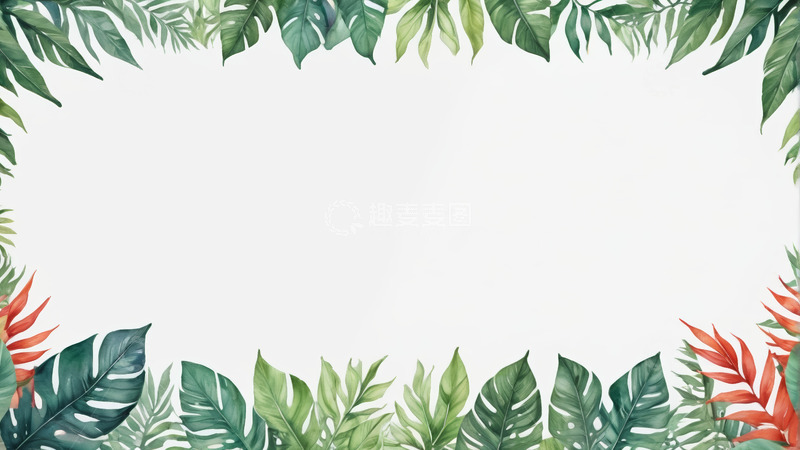 高清大图下载【趣麦麦图】热带植物边框背景图