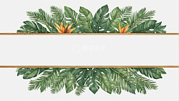热带植物边框插画素材