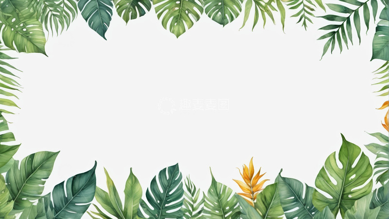 高清大图下载【趣麦麦图】热带植物边框背景素材