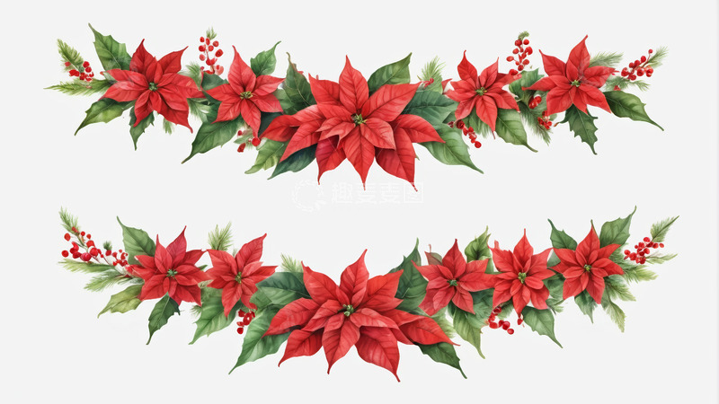 高清大图下载【趣麦麦图】圣诞一品红装饰素材