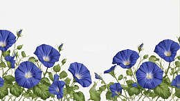 白色背景蓝色牵牛花图案