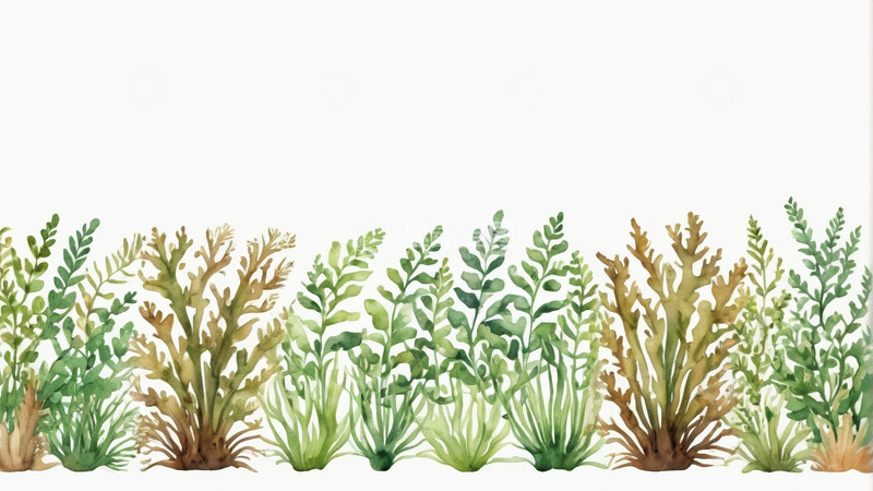 高清大图下载【趣麦麦图】水彩风格植物边缘装饰素材