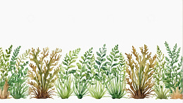 水彩风格植物边缘装饰素材