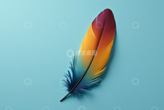 蓝色背景上的彩色羽毛静物
