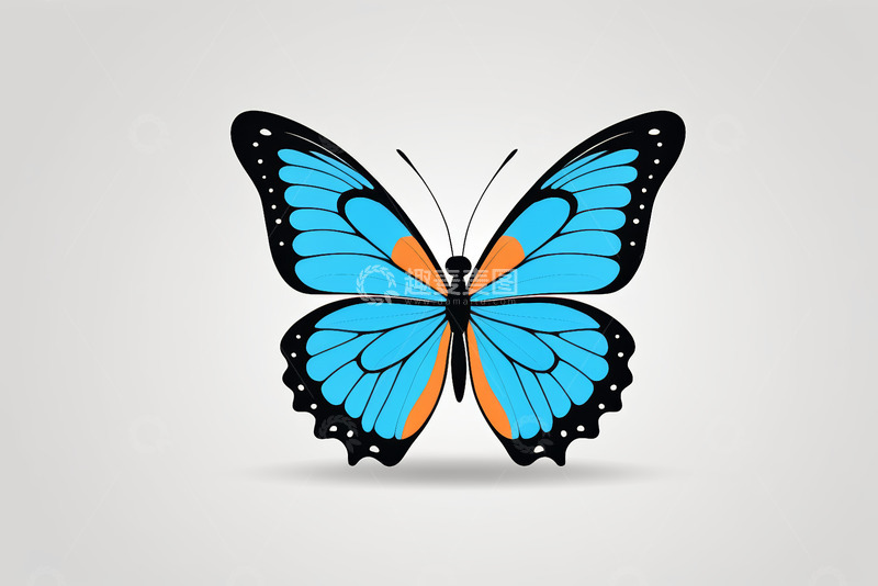 高清大图下载【趣麦麦图】蓝色蝴蝶插画素材