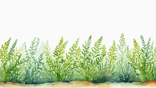 水彩风格绿色植物边界素材