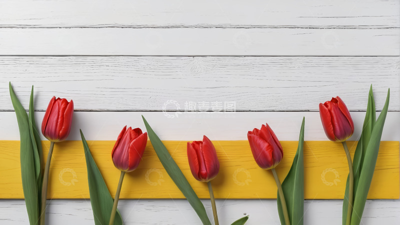 高清大图下载【趣麦麦图】白色木背景上的红色郁金香