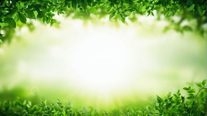 高清大图下载【趣麦麦图】绿色植物自然背景素材