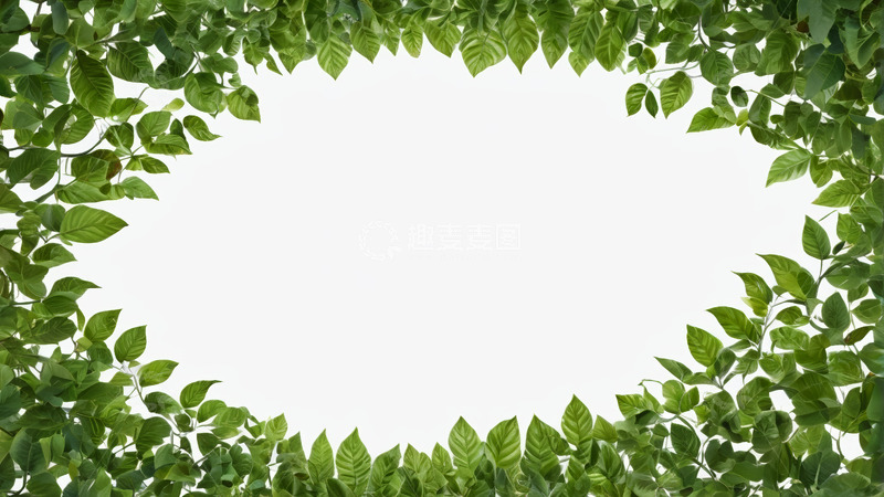 高清大图下载【趣麦麦图】绿叶环绕的白色背景