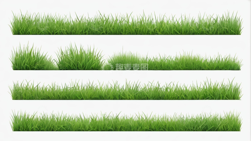 高清大图下载【趣麦麦图】多形态绿色草丛素材