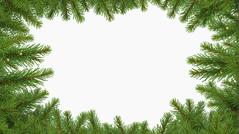 高清大图下载【趣麦麦图】松枝装饰边框背景