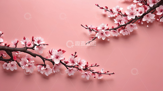 粉色背景上的盛开桃花枝