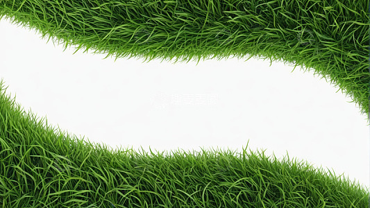 绿色草地自然背景画面