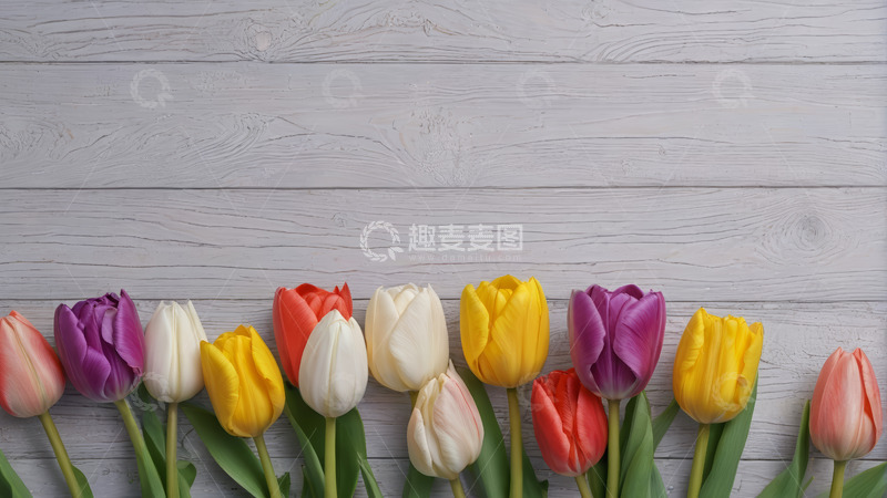 高清大图下载【趣麦麦图】木质背景上的多彩郁金香