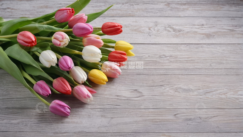 高清大图下载【趣麦麦图】木质桌面上的多彩郁金香花束