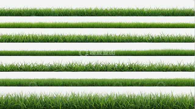 不同形态绿色草地素材