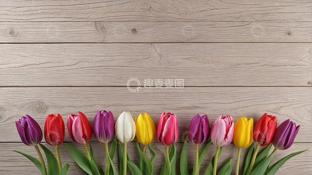 木质背景上的多彩郁金香