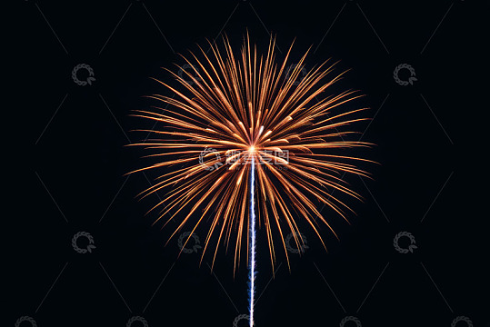 夜空中绽放的烟花