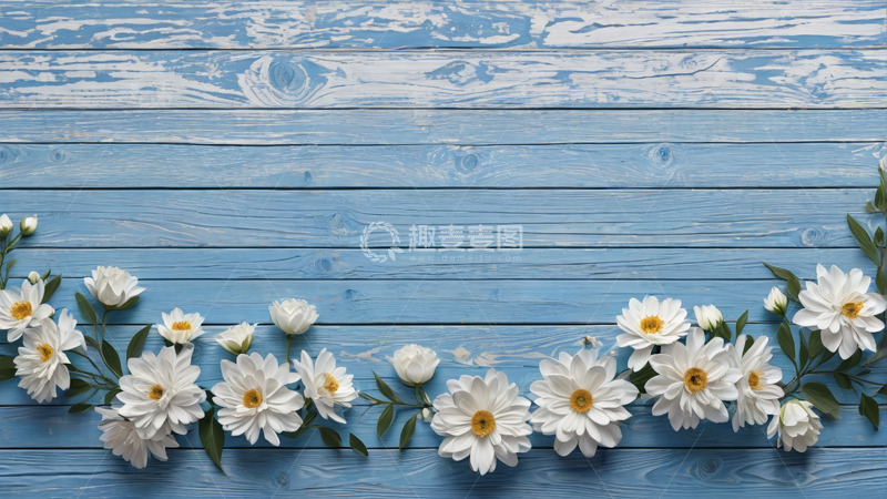 高清大图下载【趣麦麦图】蓝色木板上的白色花卉装饰
