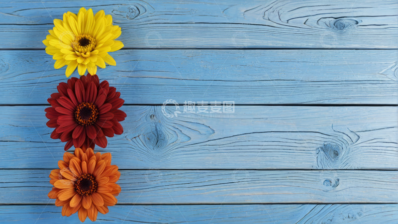 高清大图下载【趣麦麦图】蓝色木板上的多彩花朵