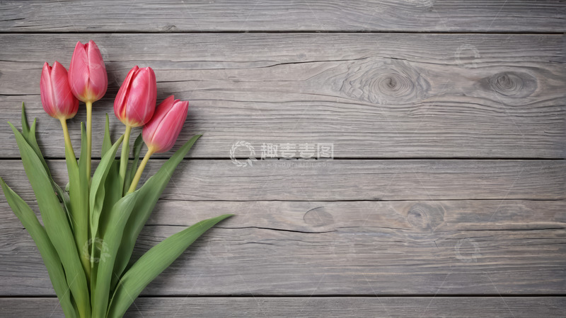 高清大图下载【趣麦麦图】木桌上的粉色郁金香