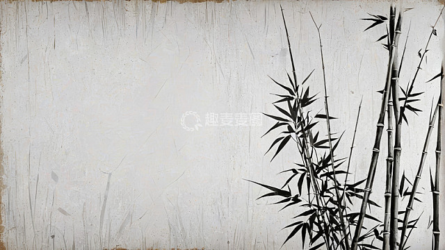 白墙旁的竹子植物素材